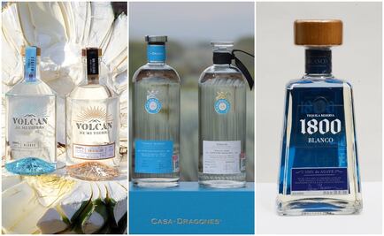 Etiquetas de tequila que no deben de faltar en tu colección