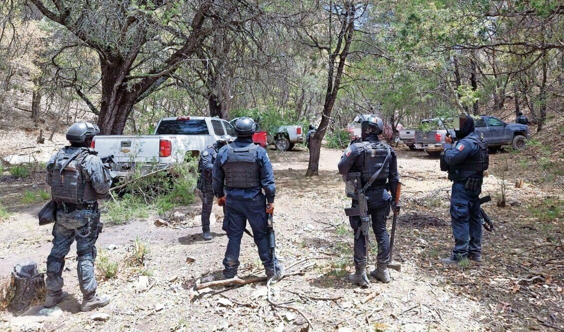 Hallan campamentos de grupo criminal en Genaro Codina