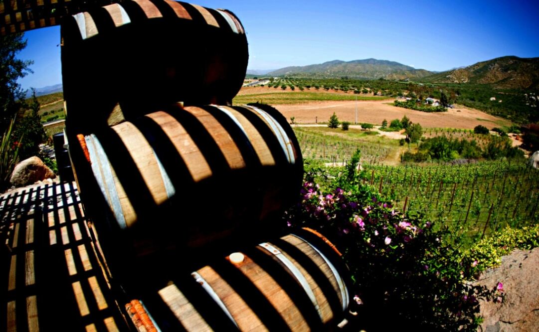 El vino Casta Tinta Syrah 2013, fue el ganador. (Foto: Pedro Mera)