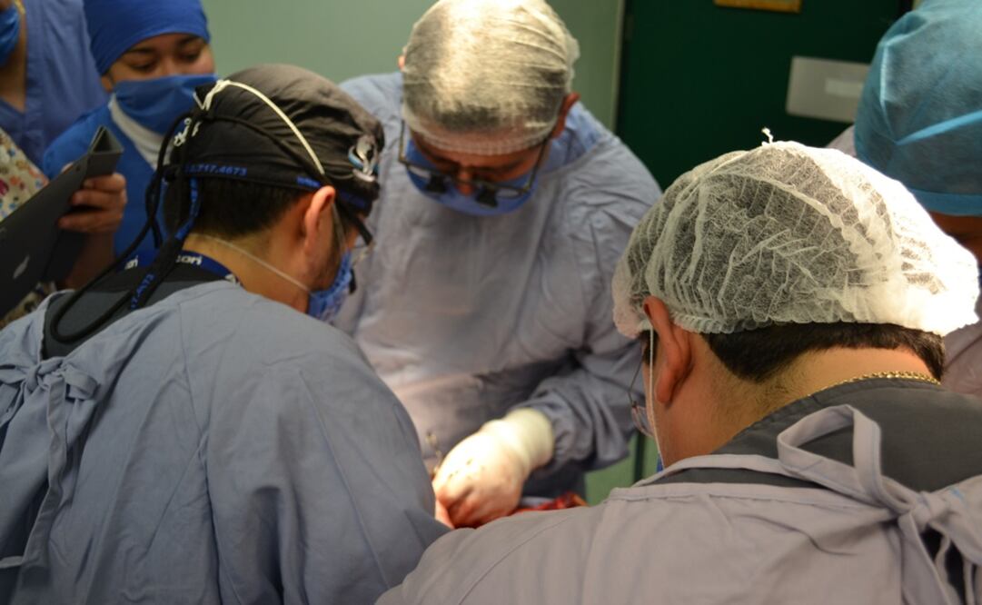 (Foto: Archivo - EL UNIVERSAL)