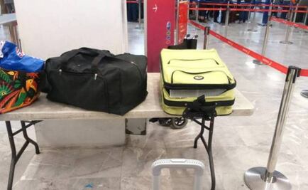 Spaniard arrested at Mexico City Airport trying to smuggle 135 birds