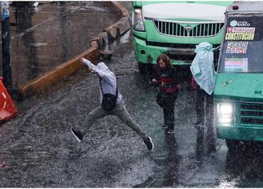 Fuertes lluvias dejan árboles caídos y encharcamientos en la CDMX