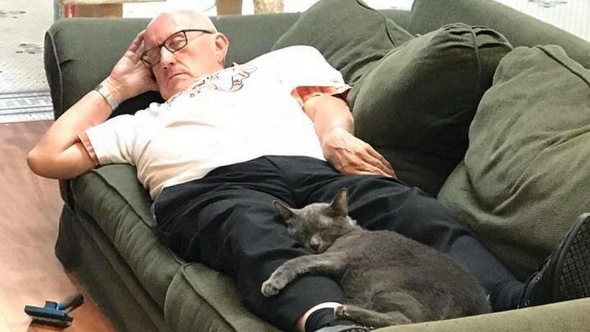 BBC. El maestro de español jubilado -conocido como "el abuelito de los gatos"- no puede creer su fama en internet (Foto: Safe Haven Pet Sanctuary)