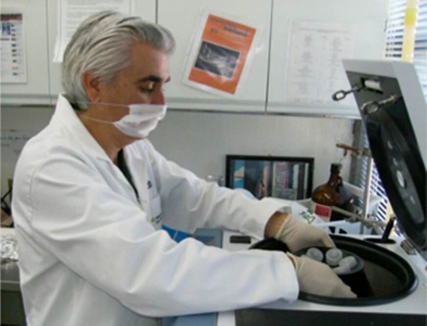 Mexicano crea antibiótico con piel de rana para curar infecciones en vacas