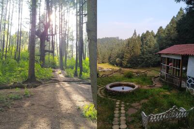 Peña de Lobos: qué hacer en el bosque embrujado cerca de CDMX