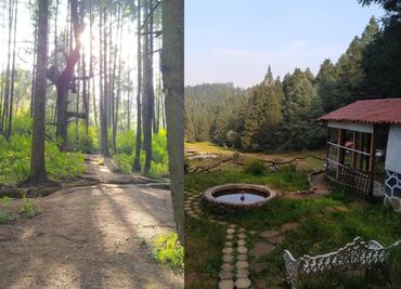 Peña de Lobos: qué hacer en el bosque embrujado cerca de CDMX