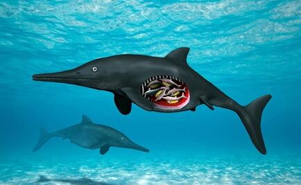 Hallan restos de una reptil prehistórica embarazada con octillizos