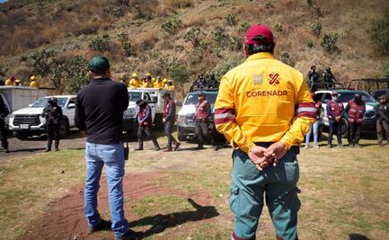 Restauran casi 5 hectáreas de suelo de conservación en Xochimilco; retiran 12 construcciones provisionales