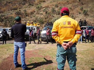 Restauran casi 5 hectáreas de suelo de conservación en Xochimilco; retiran 12 construcciones provisionales