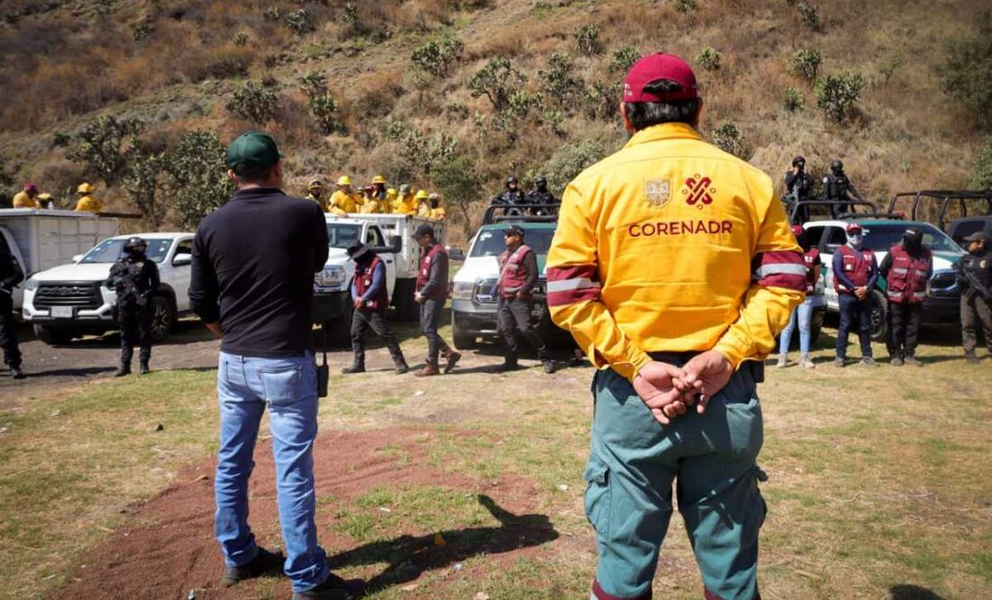 Restauran 4.6 hectáreas de suelo de conservación en Xochimilco (13/03/2025). Foto: Especial