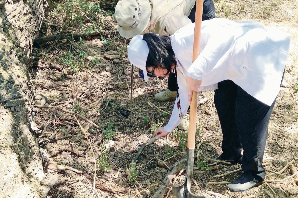 En el grupo de Las Rastreadoras hay más de 200 madres quienes buscan a sus hijos; a ellas las han amenazado de muerte (ARCHIVO. EL UNIVERSAL)