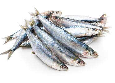 Cómo se sabe cuando una especie marina está sobreexplotada