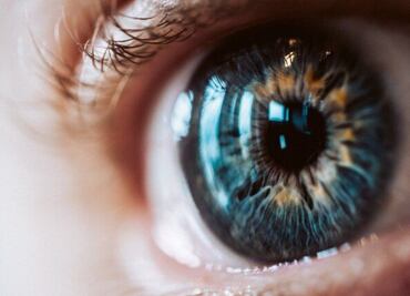 Mejora tu agudeza visual con el consumo de este superalimento