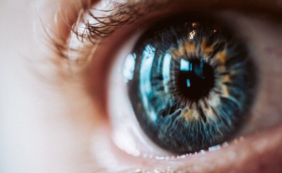 El consumo regular de uvas se asocia con beneficios para la salud visual. Fuente: Freepik.