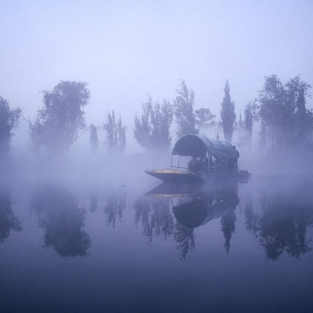 La chinampa, cultivo ancestral y vital para la alimentación