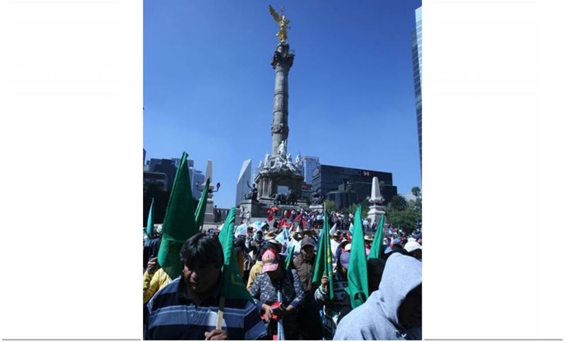 Fotos: Juan Carlos García, Jorge Luis Cortés y David Aponte / ELUNIVERSAL