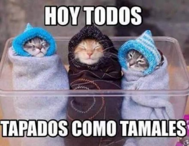 Te dejamos unos memes del frío para entrar en calor