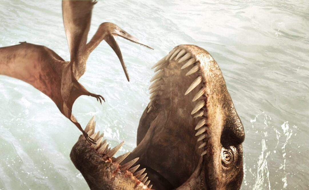 Los cocodrilos y las aves proceden de él. (FOTO: Archivo/EL UNIVERSAL)