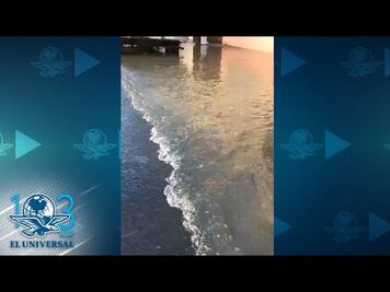 Fuga de agua inunda casas y negocios en GAM