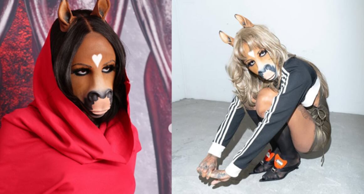 Sus presentaciones siempre se acompañan de un fuerte componente visual. Fotos: Redes Sociales