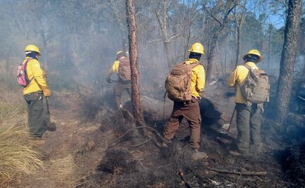 Van más de mil hectáreas afectadas por incendio forestal en áreas naturales protegidas de Morelos