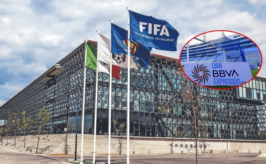 ¿Qué clubes están detrás de la demanda para reinstaurar el ascenso y descenso?
Imagen: Especial