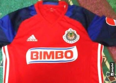 Último examen para el Rebaño