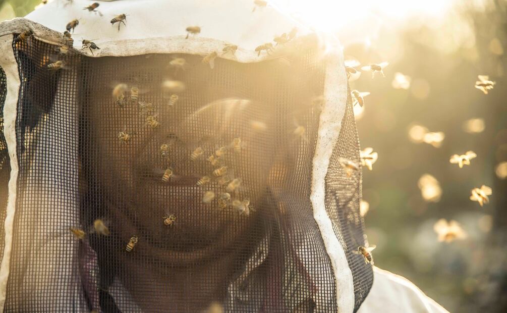 Imagen: Mauricio Elizondo