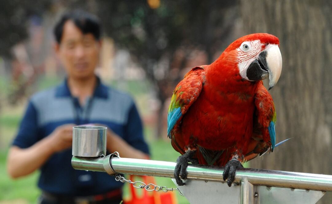 Foto: Xinhua/Li Yibo