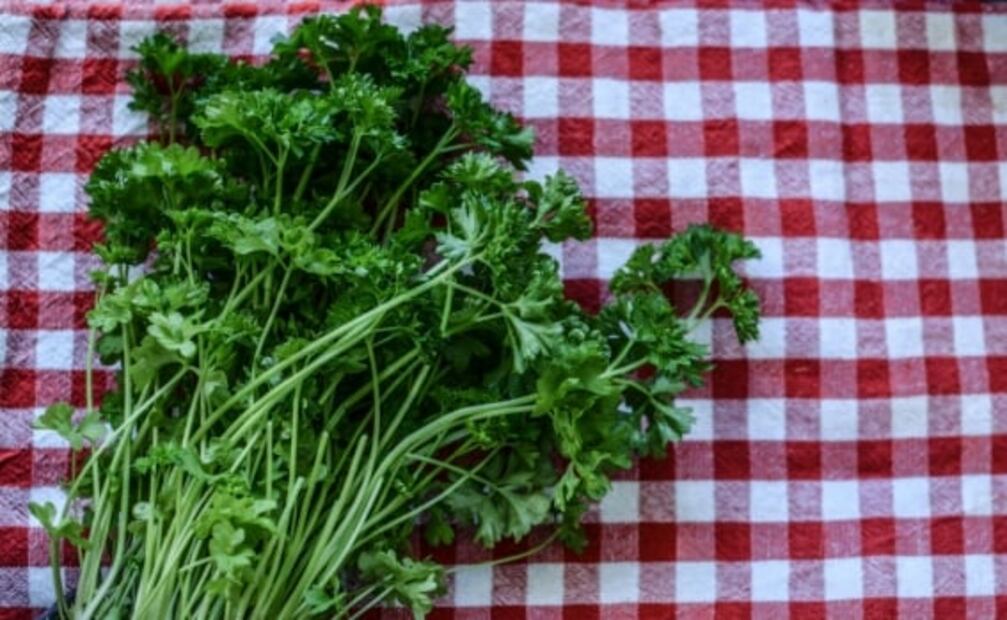 Los múltiples beneficios de consumir perejil