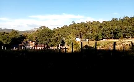 Comunidad indígena pide apoyo ante asedio del crimen organizado en Jalisco