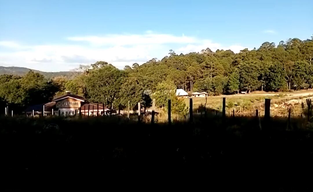 Foto: captura de pantalla