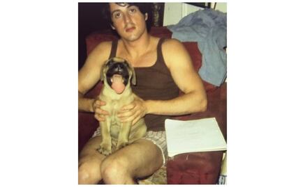 La conmovedora historia de Sylvester Stallone y su perro Butkus 