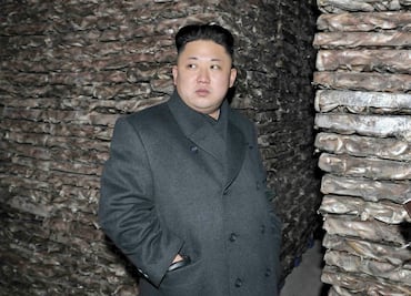 Aseguran que Norcorea tiene capacidad de alcanzar con misil a EU