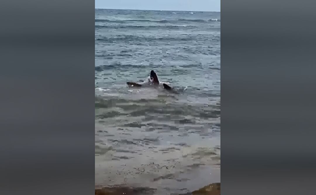 Foto: captura de pantalla