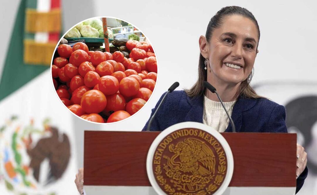 La presidenta Claudia Sheinbaum durante la mañanera de este 11 de agosto del 2025. Foto: Presidencia.