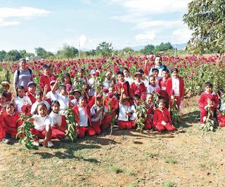 “Mi hija no conocía el origen de las flores”