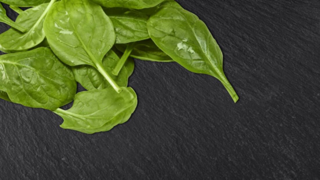 Conoce los 50 alimentos del futuro