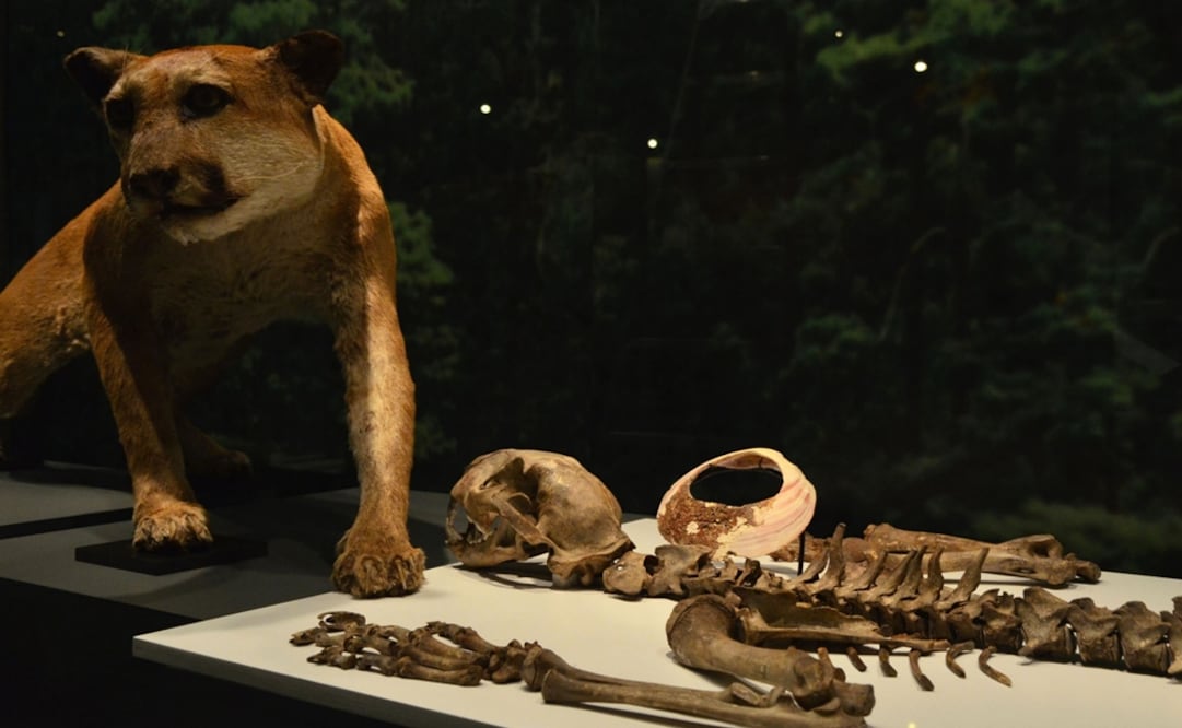 Foto: Héctor Montaño, INAH