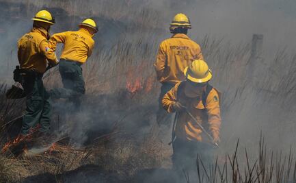 Registran 91 incendios forestales en lo que va del año en Edomex, tras temporada de estiaje