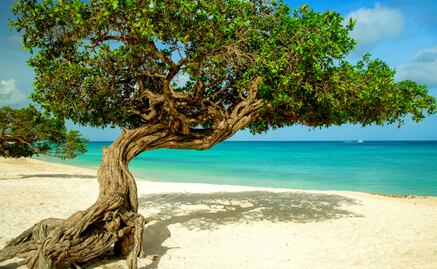 3 playas más cercanas a CDMX para escapar en Semana Santa 2025