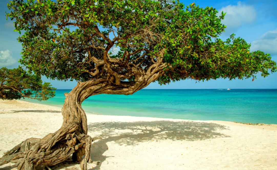 Playas cercanas a la CDMX. Foto: iStock