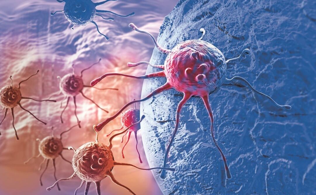 Cancer cells – Photo: File photo/EL UNIVERSAL