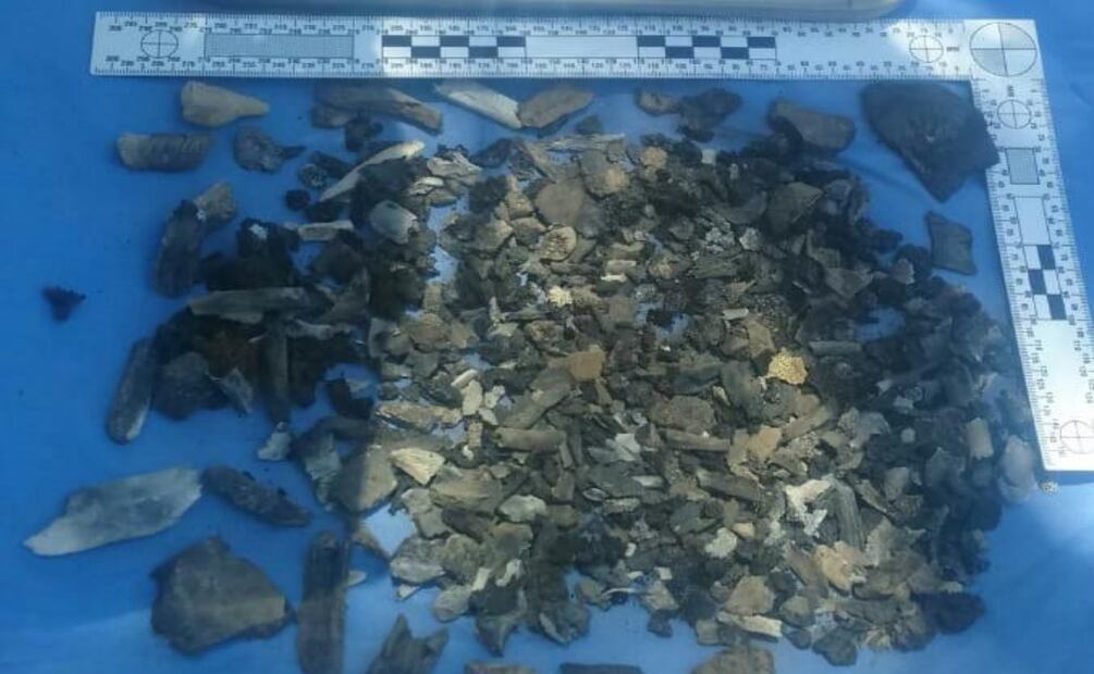 Los otros campos de exterminio; en Patrocinio, Coahuila, los huesos se cuentan por kilos. Foto: Especial