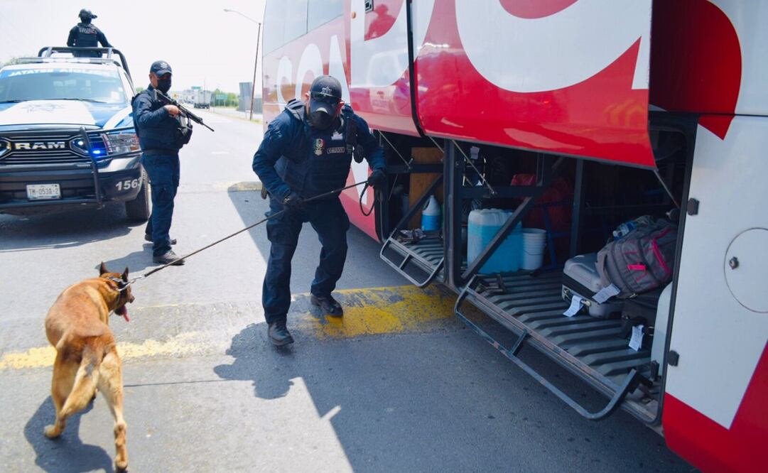 En la acción se utilizan binomios caninos para la inspección de compartimientos en vehículos de transporte de pasajeros y de carga, así como particulares. Foto: EspecialFoto: Especial