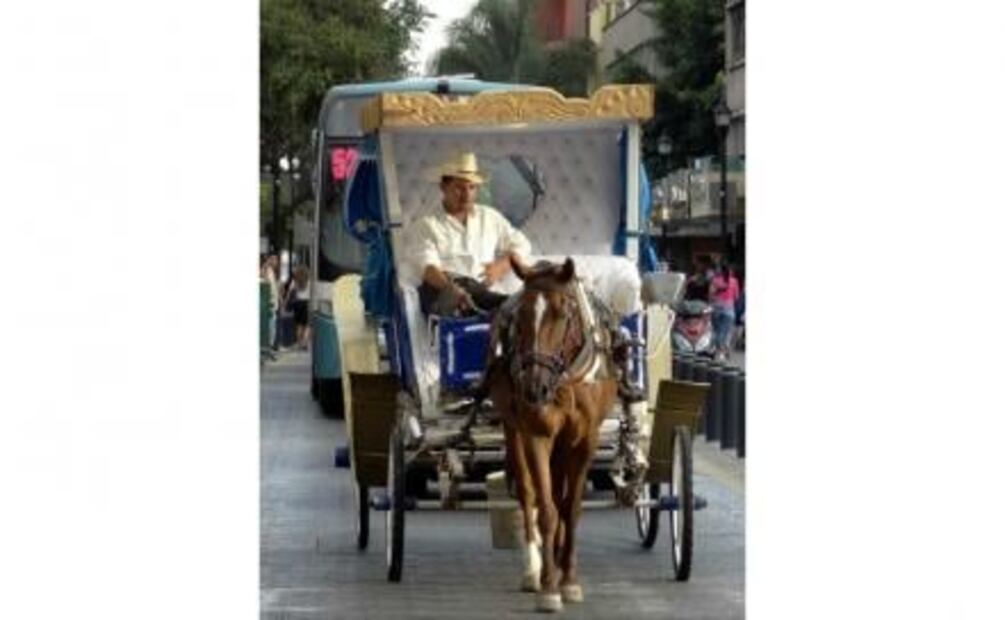 15 cosas que solo tiene Guadalajara