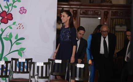 Sheinbaum recomienda ir con el médico ante casos de gusano barrenador en humanos; anuncia fábrica de moscas en Chiapas