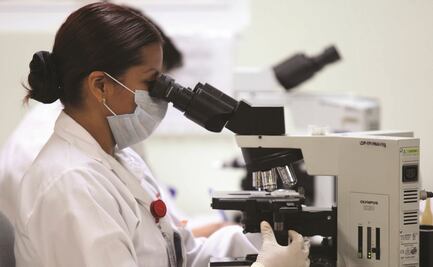 El tercio de parásitos que benefician al ecosistema, en peligro de extinción