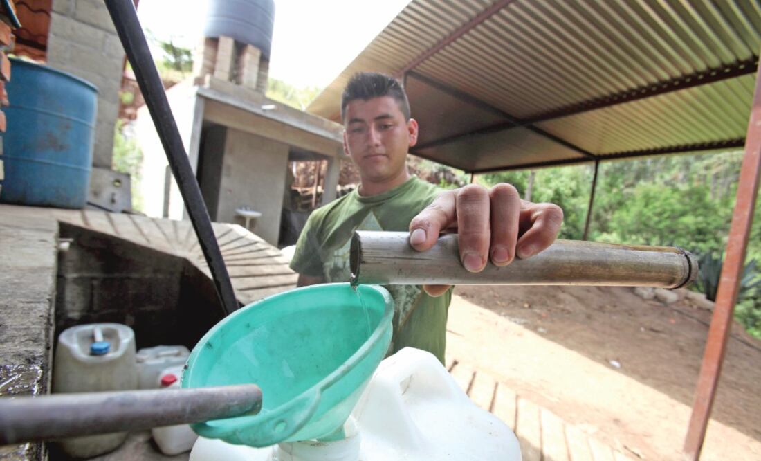 En el taller artesanal, ubicado en la comunidad El Palmar, en Malinalco, para producir 400 litros mensuales de mezcal se deben usar hasta 40 piñas de agave. (JORGE ALVARADO)
