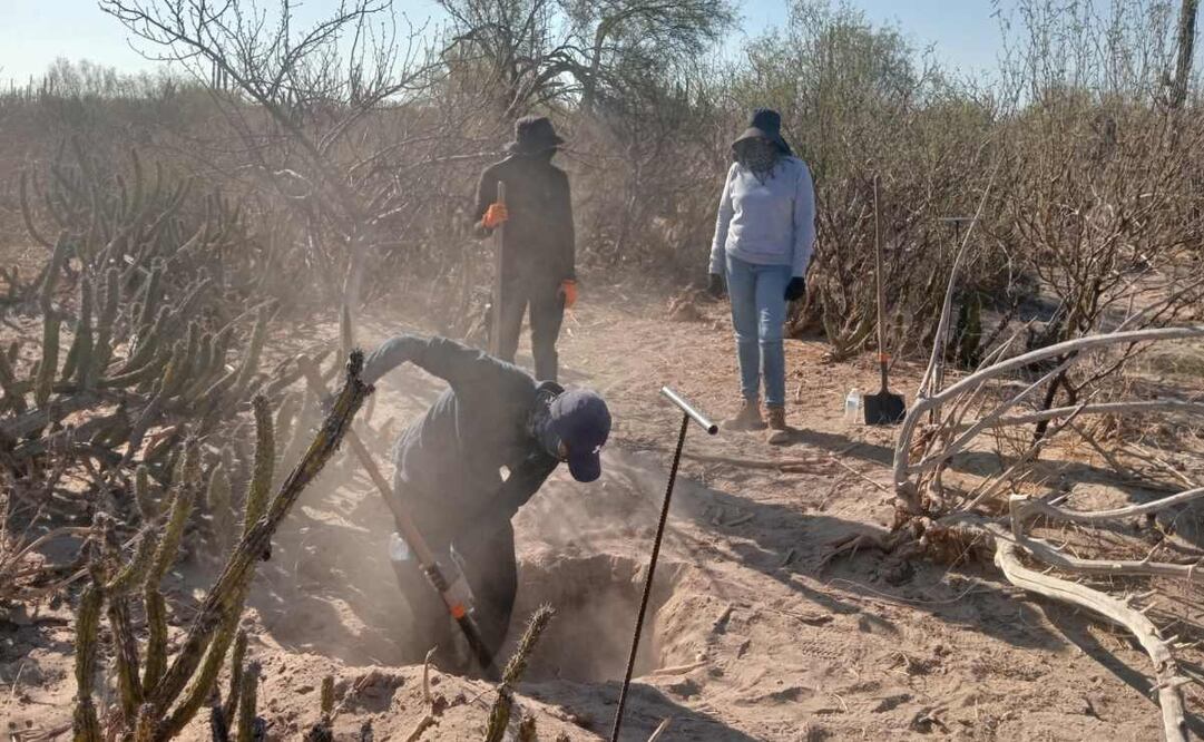 Colectivo de buscadores en BCS denuncian retrasos en entrega de restos humanos identificados (14/09/2025). Foto: Especial
